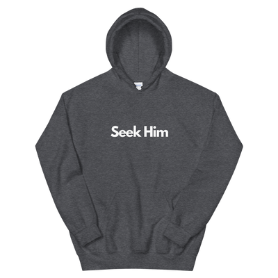 Seek Him - Unisex Hoodie