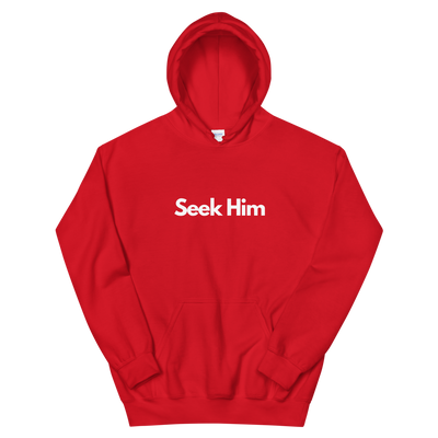 Seek Him - Unisex Hoodie